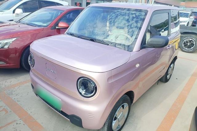 Used Geely Galaxy Panda 2024 Panda Mini 200km Endurance Bear