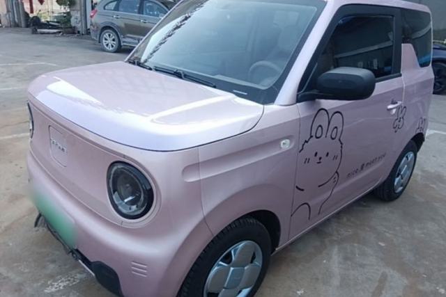 Geely Galaxy Panda 2024 Panda Mini 200km Endurance Bear usado