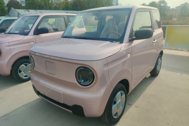 Used Geely Galaxy Panda 2024 Panda Mini 200km Endurance Bear