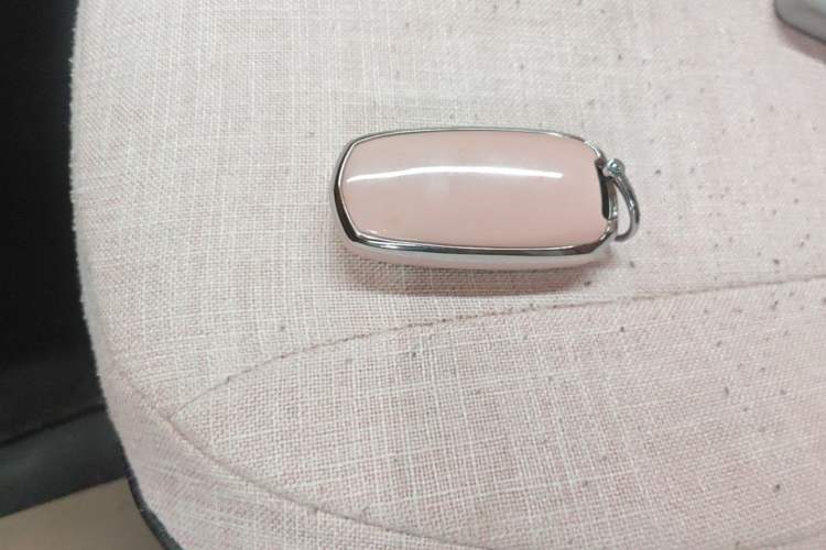 Used Geely Galaxy Panda 2024 Panda Mini 200km Endurance Bear Vehicle Key