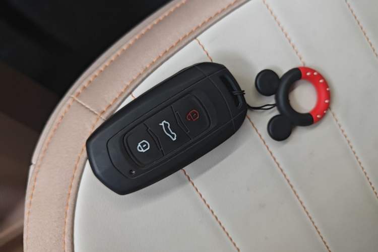 Used Geely Galaxy Panda 2024 Panda Mini 200km Endurance Bear Vehicle Key