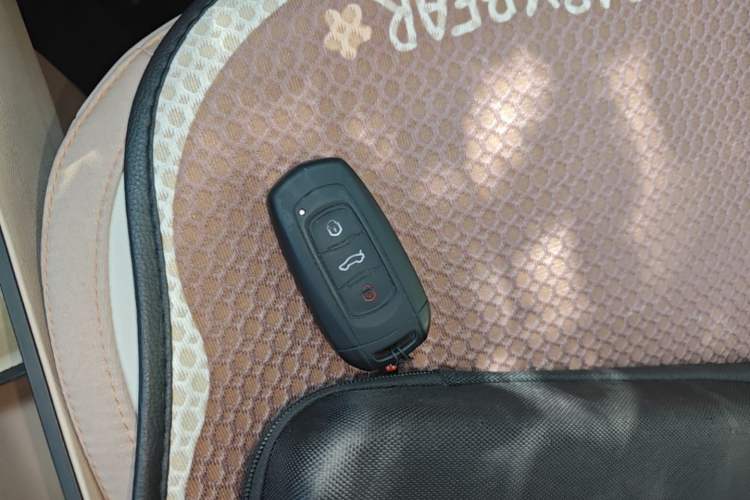 Used Geely Galaxy Panda 2024 Panda Mini 200km Longteng PRO Edition Vehicle Key