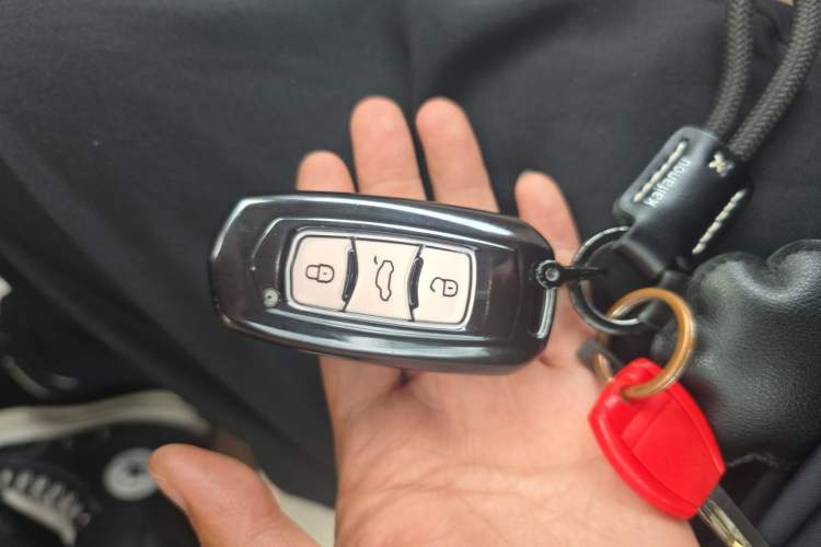 Used Geely Galaxy Panda 2024 Panda Mini 200km Endurance Bear Vehicle Key