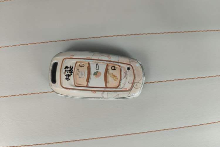 Used Geely Galaxy Panda 2024 Panda Mini 200km Endurance Bear Vehicle Key