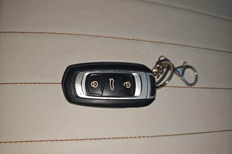 Used Geely Galaxy Panda 2024 Panda Mini 200km Endurance Bear Vehicle Key