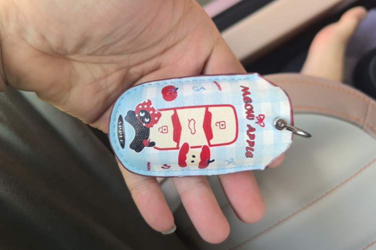 Used Geely Galaxy Panda 2024 Panda Mini 200km Dragon Edition Vehicle Key
