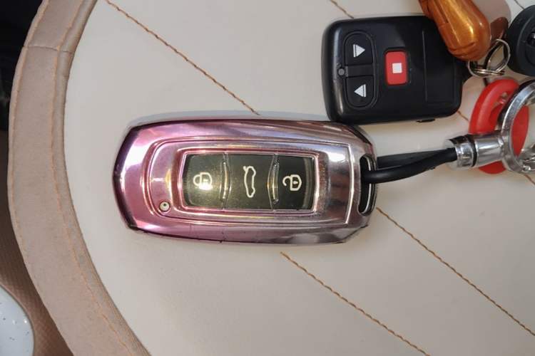 Used Geely Galaxy Panda 2024 Panda Mini 200km Endurance Bear Vehicle Key
