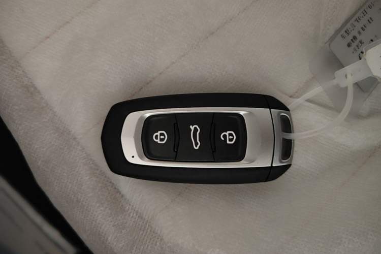 Used Geely Galaxy Panda 2024 Panda Mini 200km Endurance Bear Vehicle Key
