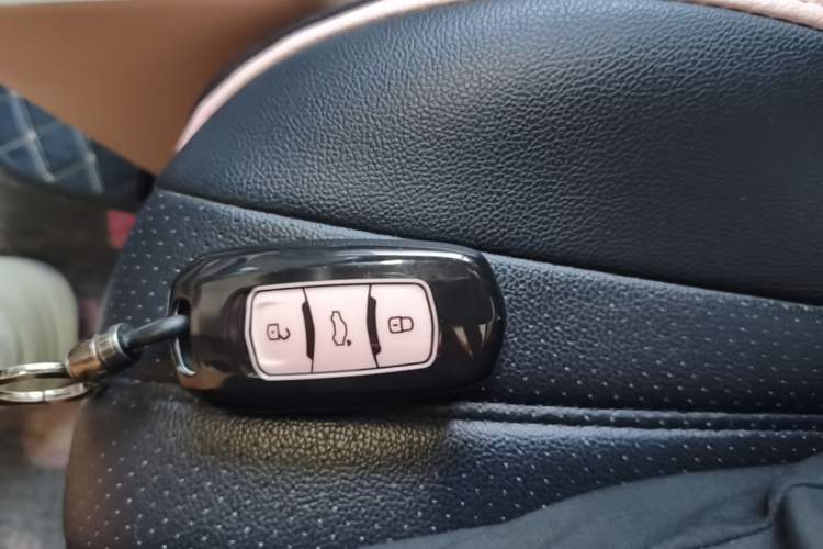 Used Geely Galaxy Panda 2024 Panda Mini 200km Endurance Bear Vehicle Key