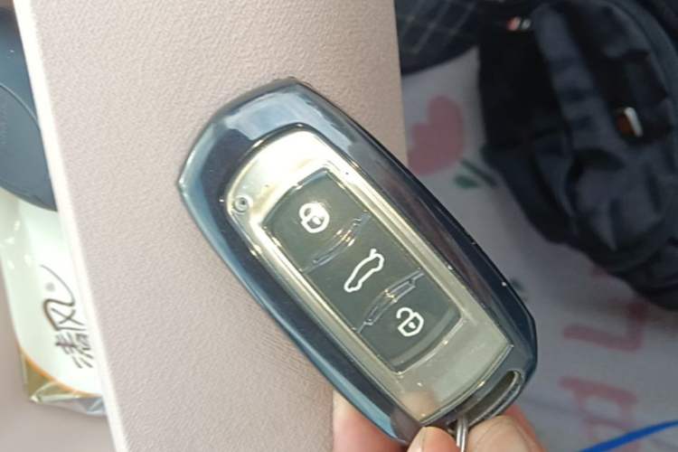 Used Geely Galaxy Panda 2024 Panda Mini 200km Endurance Bear Vehicle Key