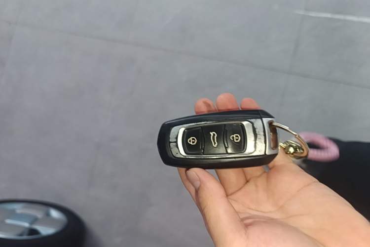 Used Geely Galaxy Panda 2024 Panda Mini 200km Endurance Bear Vehicle Key