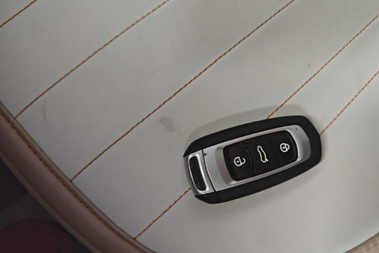 Used Geely Galaxy Panda 2024 Panda Mini 200km Longteng PRO Edition Vehicle Key