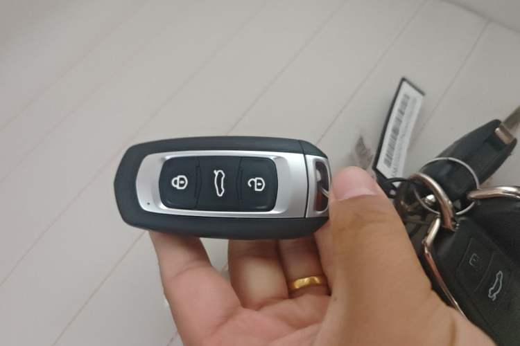 Used Geely Galaxy Panda 2024 Panda Mini 200km Endurance Bear Vehicle Key