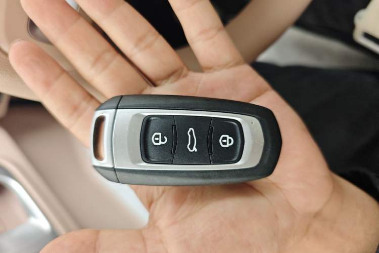 Used Geely Galaxy Panda 2024 Panda Mini 200km Endurance Bear Vehicle Key