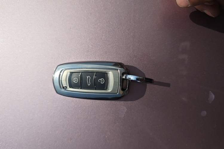 Used Geely Galaxy Panda 2024 Panda Mini 200km Endurance Bear Vehicle Key