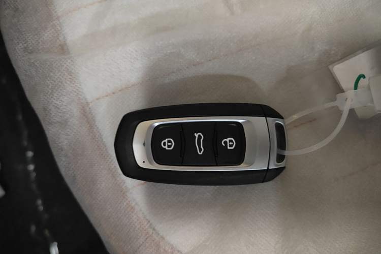 Used Geely Galaxy Panda 2024 Panda Mini 200km Endurance Bear Vehicle Key