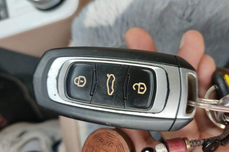 Used Geely Galaxy Panda 2024 Panda Mini 200km Endurance Bear Vehicle Key