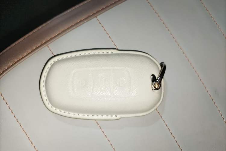 Used Geely Galaxy Panda 2024 Panda Mini 200km Endurance Bear Vehicle Key
