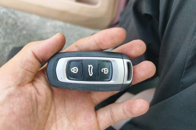 Used Geely Galaxy Panda 2024 Panda Mini 200km Endurance Bear Vehicle Key