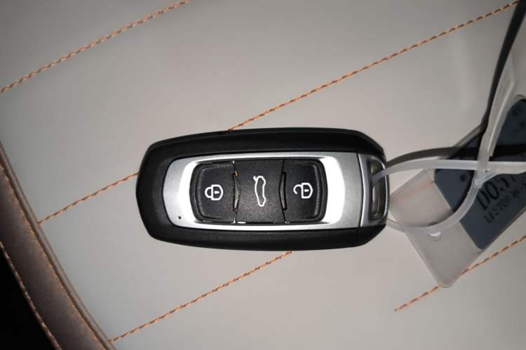 Used Geely Galaxy Panda 2024 Panda Mini 200km Endurance Bear Vehicle Key