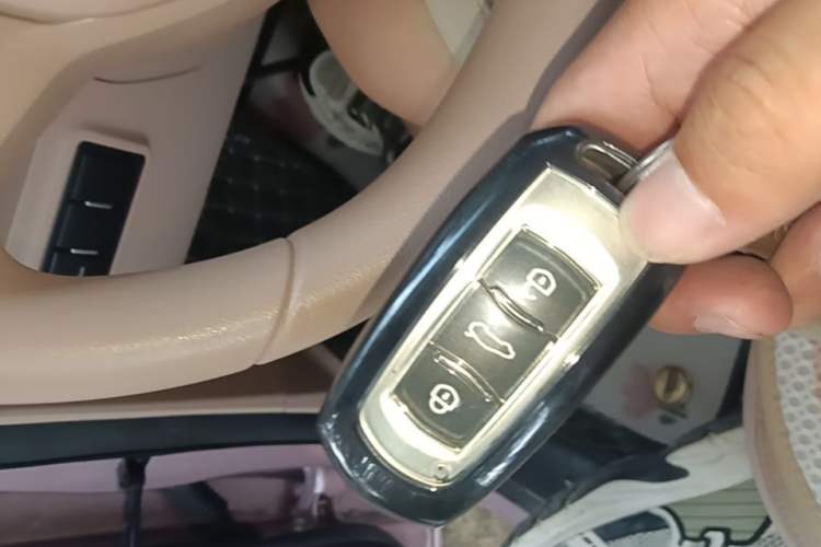 Used Geely Galaxy Panda 2024 Panda Mini 200km Endurance Bear Vehicle Key