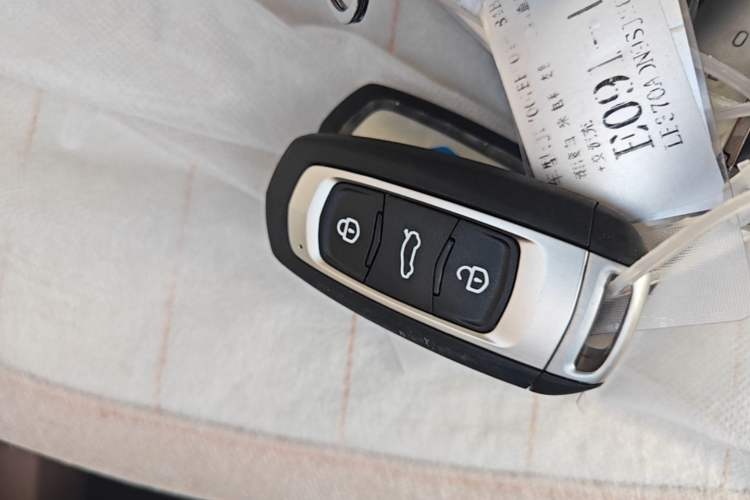 Used Geely Galaxy Panda 2024 Panda Mini 200km Endurance Bear Vehicle Key