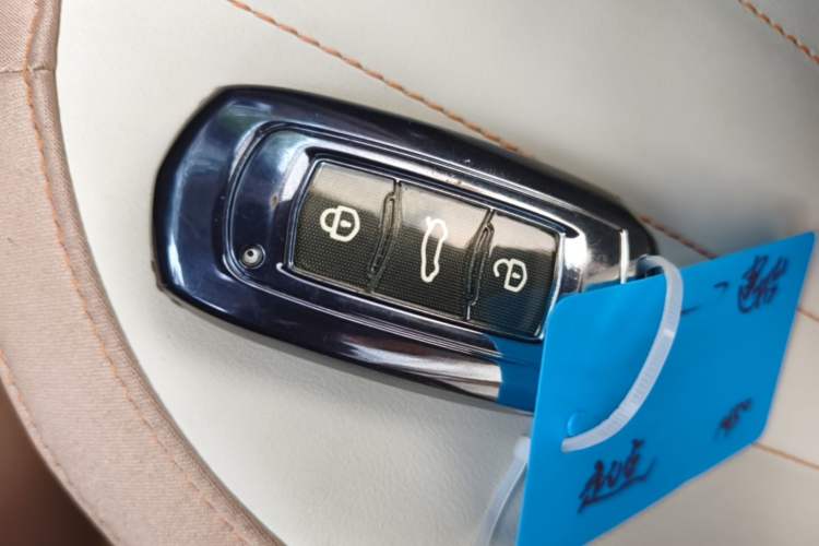 Used Geely Galaxy Panda 2024 200km Panda Kart Vehicle Key