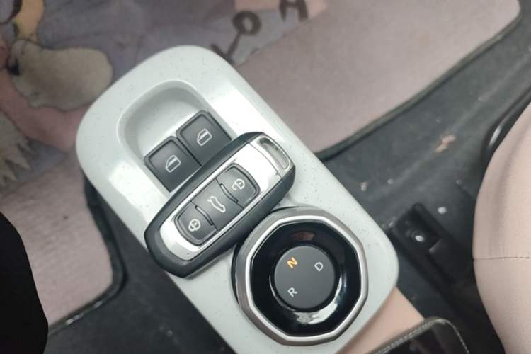 Used Geely Galaxy Panda 2024 Panda Mini 200km Endurance Bear Vehicle Key