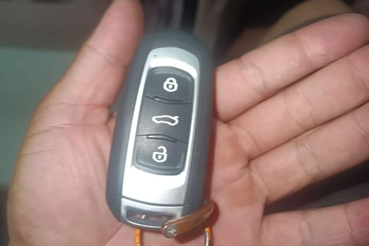 Used Geely Galaxy Panda 2024 Panda Mini 200km Endurance Bear Vehicle Key