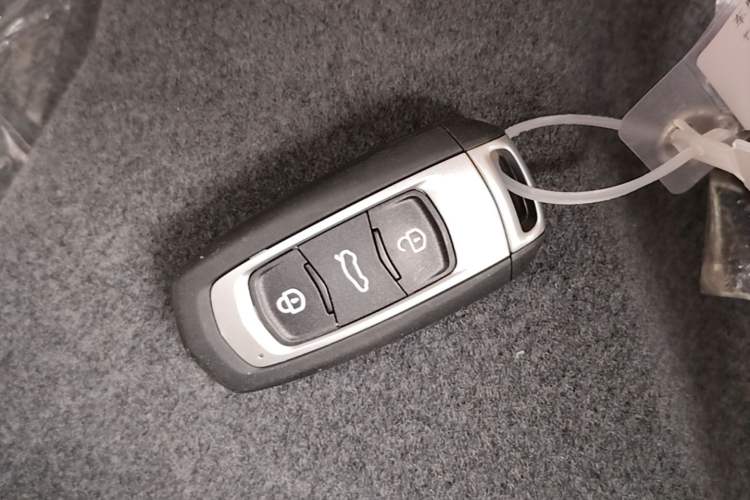 Used Geely Galaxy Panda 2024 Panda Mini 200km Endurance Bear Vehicle Key
