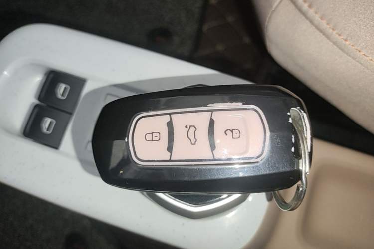 Used Geely Galaxy Panda 2024 Panda Mini 200km Endurance Bear Vehicle Key
