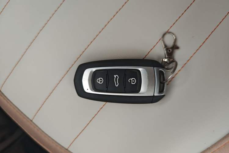 Used Geely Galaxy Panda 2024 Panda Mini 200km Endurance Bear Vehicle Key