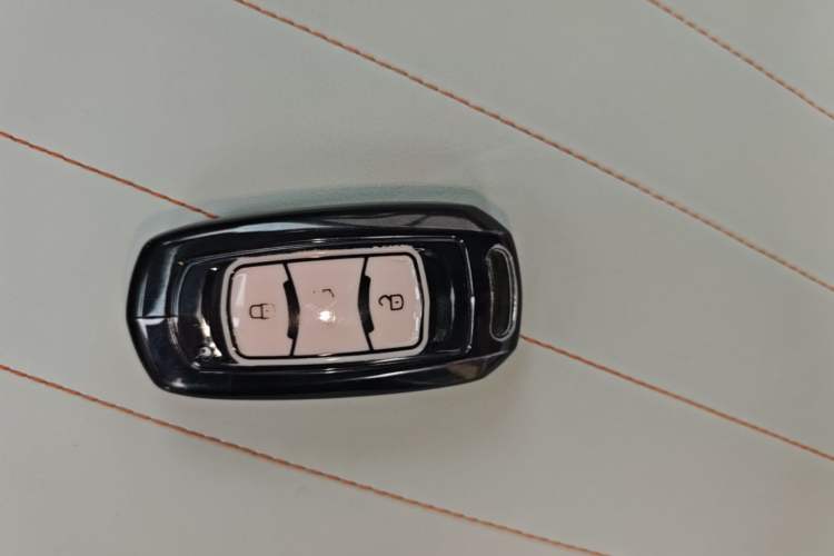 Used Geely Galaxy Panda 2024 Panda Mini 200km Endurance Bear Vehicle Key