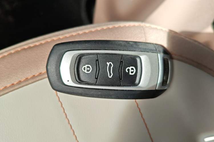 Used Geely Galaxy Panda 2024 Panda Mini 200km Endurance Bear Vehicle Key