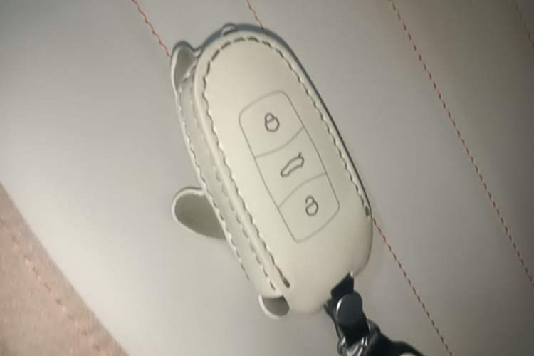 Used Geely Galaxy Panda 2024 Panda Mini 200km Endurance Bear Vehicle Key