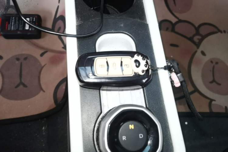 Used Geely Galaxy Panda 2024 Panda Mini 200km Endurance Bear Vehicle Key