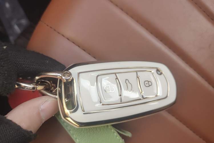 Used Geely Galaxy Panda 2024 Panda Mini 200km Endurance Bear Vehicle Key