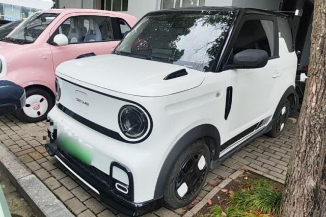 Used Geely Galaxy Panda 2024 200km Panda Kart