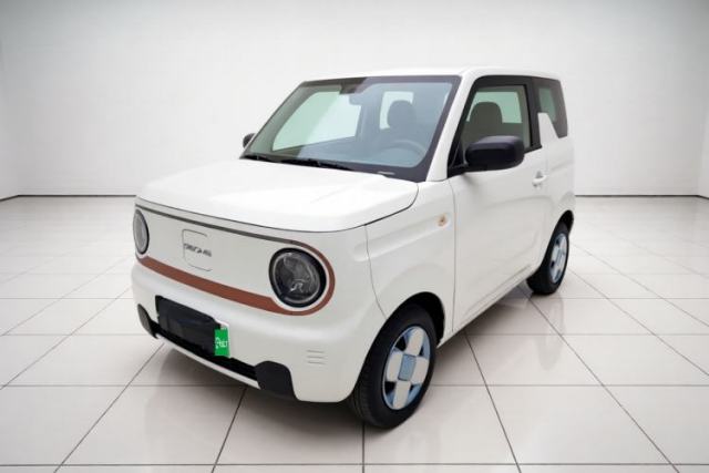 Used Geely Galaxy Panda 2024 Panda Mini 200km Endurance Bear