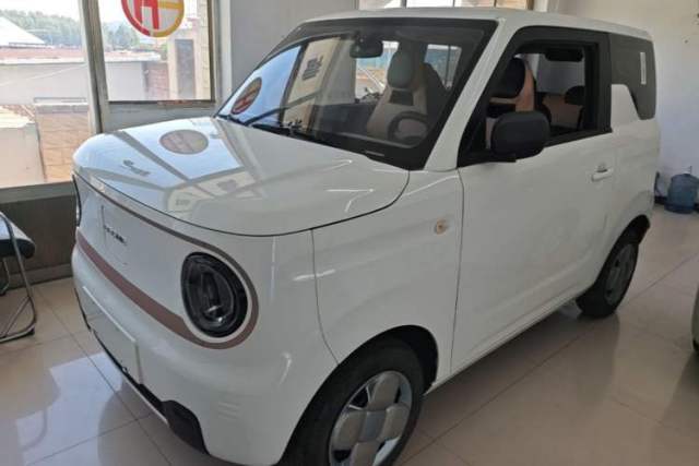 Used Geely Galaxy Panda 2024 Panda Mini 200km Endurance Bear