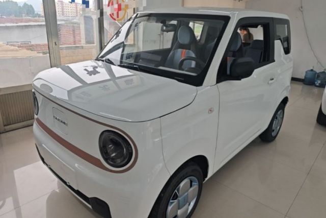 Used Geely Galaxy Panda 2024 Panda Mini 200km Endurance Bear