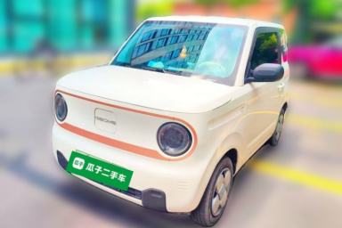 Used Geely Galaxy Panda 2024 Panda Mini 200km Endurance Bear