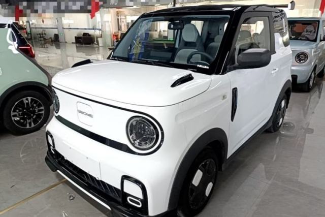 Used Geely Galaxy Panda 2024 200km Panda Kart
