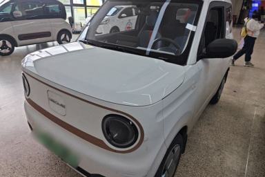 Used Geely Galaxy Panda 2024 Panda Mini 200km Endurance Bear
