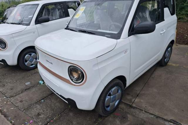 Used Geely Galaxy Panda 2024 Panda Mini 200km Endurance Bear