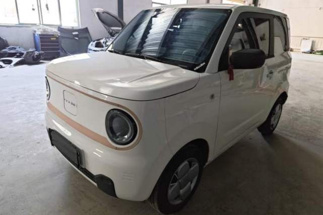 Used Geely Galaxy Panda 2024 Panda Mini 200km Endurance Bear