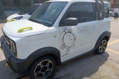 Used Geely Galaxy Panda 2024 200km Panda Rider