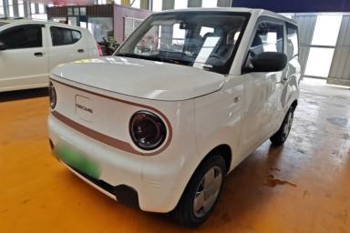 Used Geely Galaxy Panda 2024 Facelifted Panda Mini 200km Dragon Edition