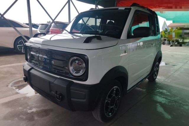 Used Geely Galaxy Panda 2024 200km Panda Rider