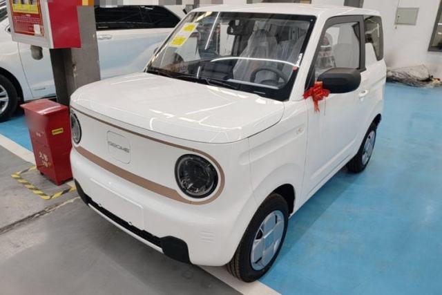 Used Geely Galaxy Panda 2024 Panda Mini 200km Endurance Bear